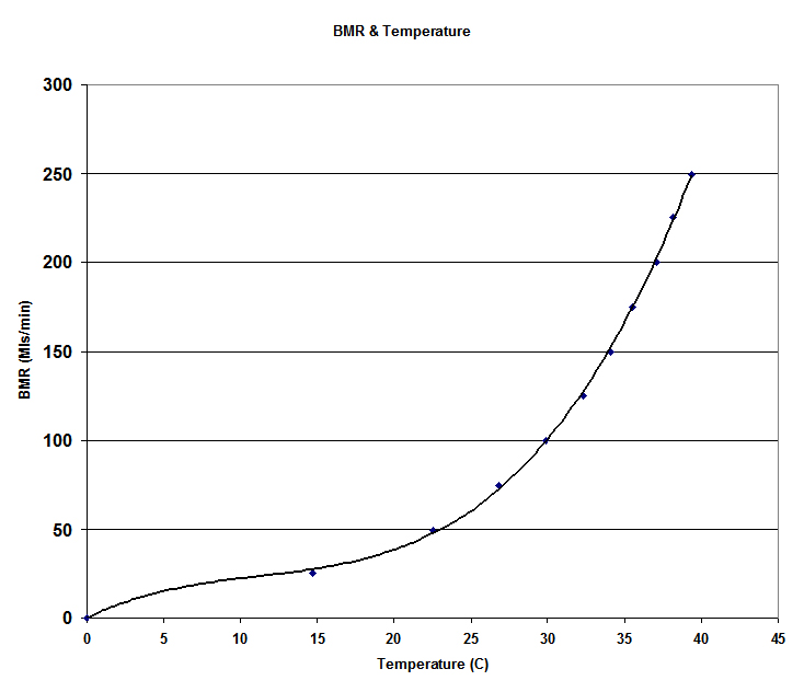 BMR&Temperature
