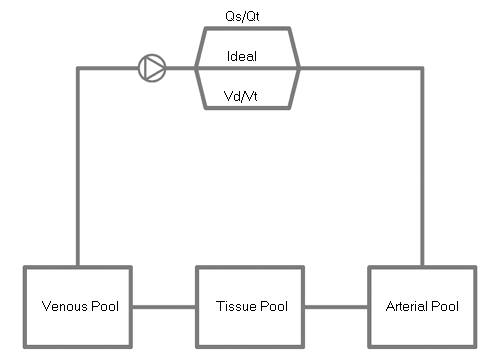 Design Paradigm 1 lung