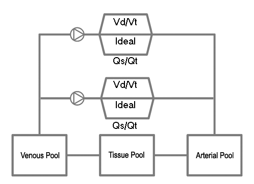 Design Paradigm 2 Lung