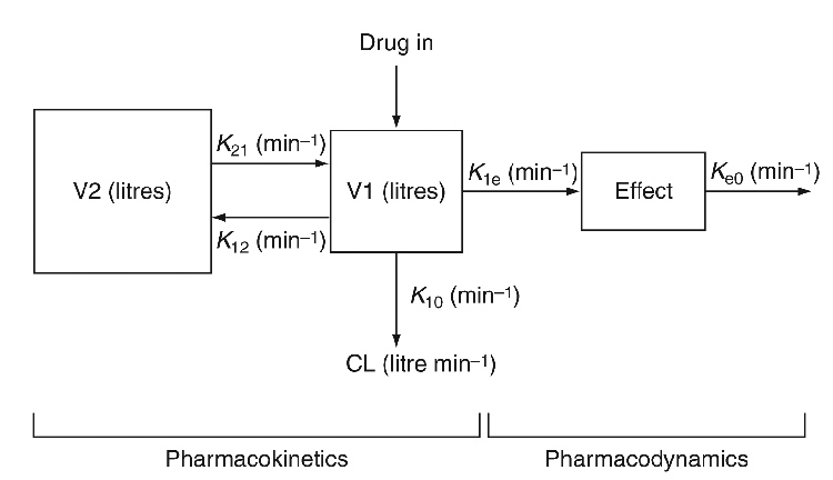 PKPDModel