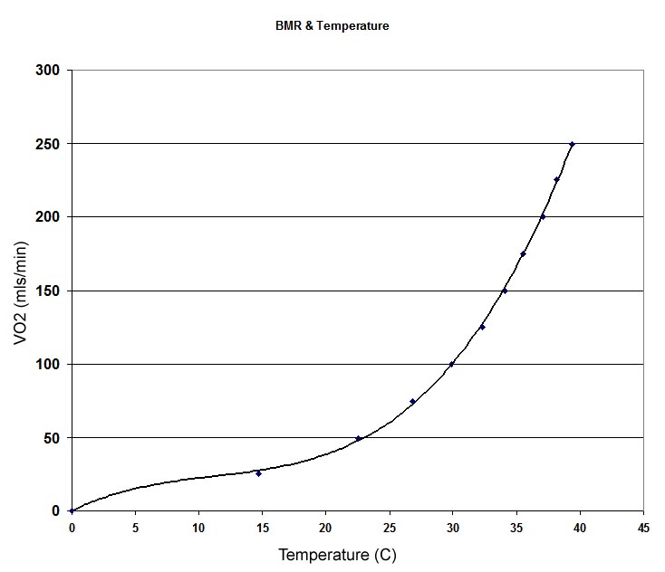Temperature and Metabolic Rate