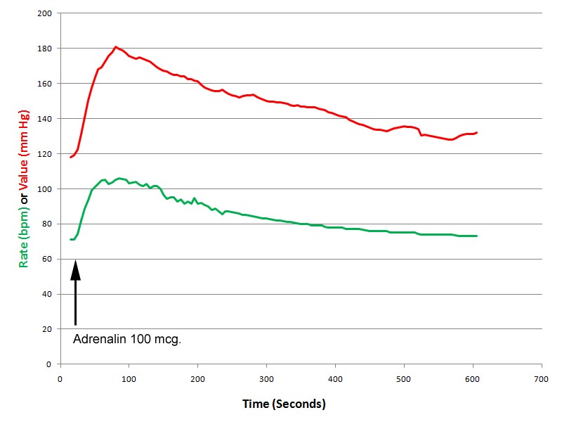 Effect Of Adrenalin